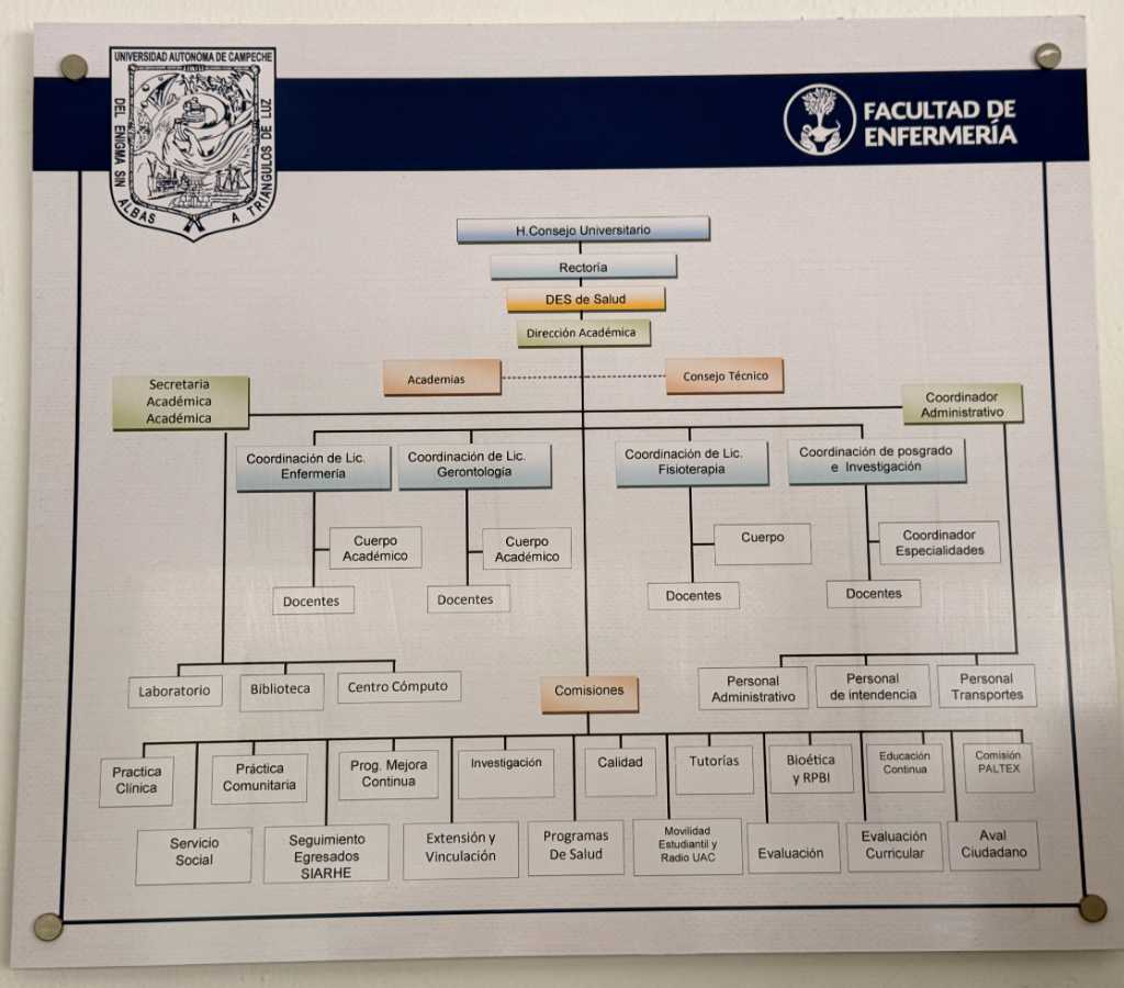 Organigrama