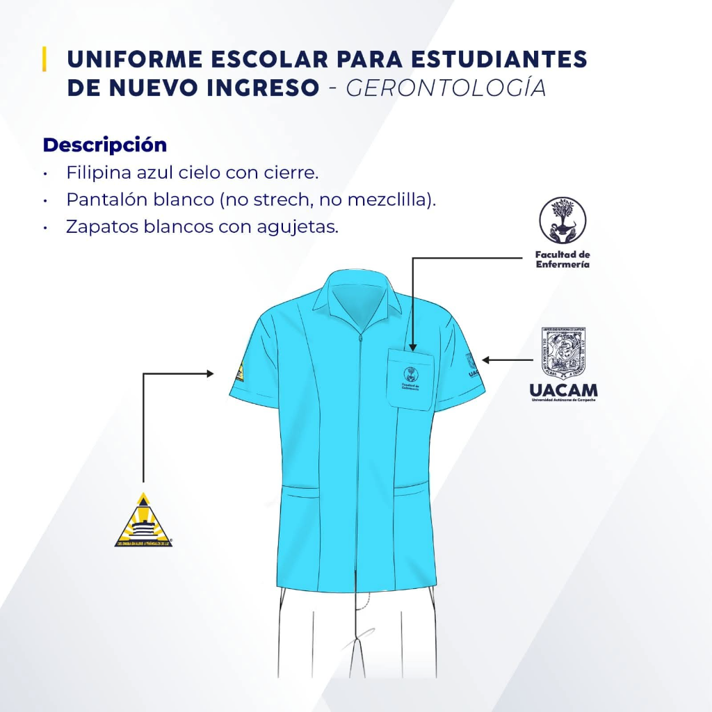gerontologia escolar